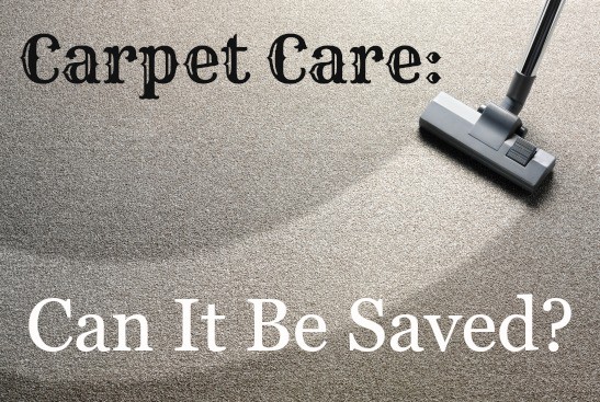 carpet care and spot cleaning