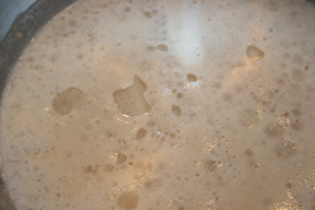 yeast in sugar water