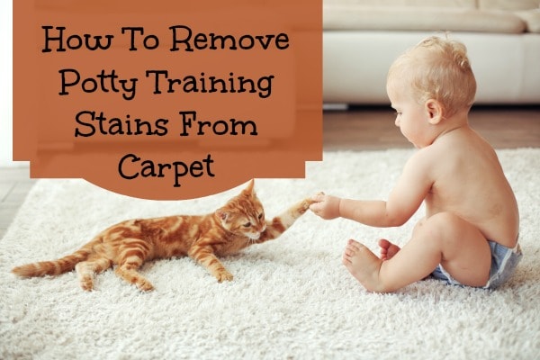 how to clean stains out of carpet
