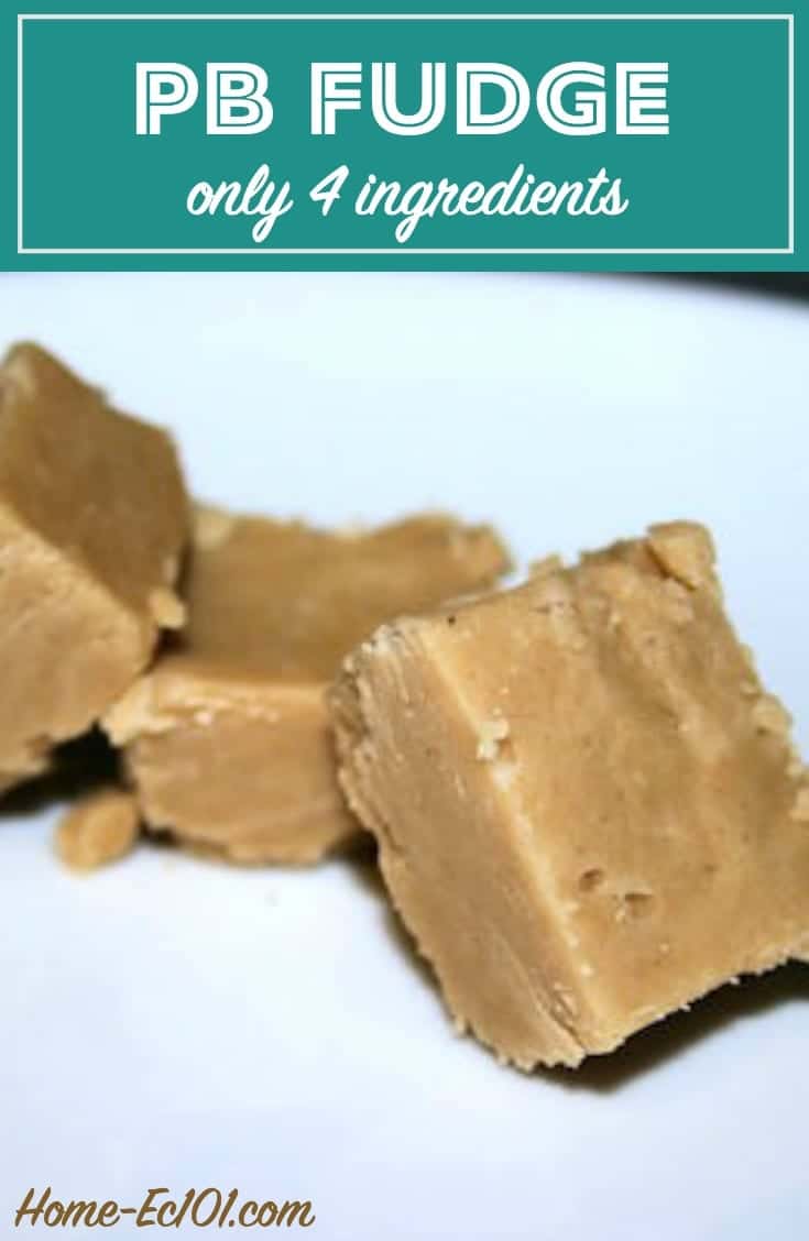 Have you ever come across a recipe that makes you say, "Why have I never made this before?" This 4 ingredient peanut butter fudge recipe is hard to beat. 