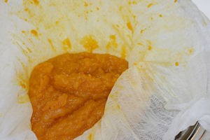 Pumpkin Puree