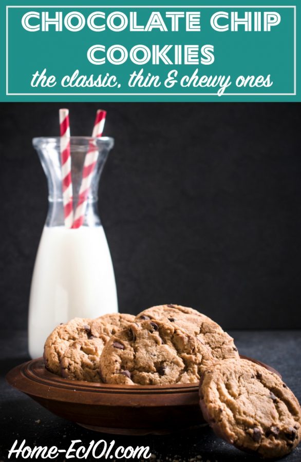 Thin, chewy, classic chocolate chip cookie recipe. 