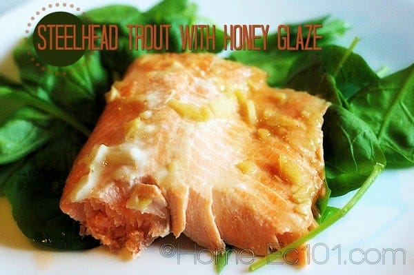 SteelheadTroutHoneyGlaze