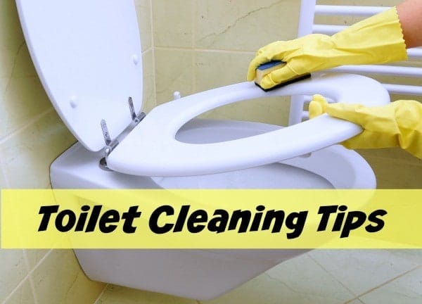 toilet cleaning