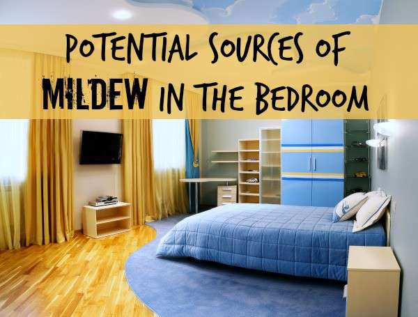 mildew in bedroom