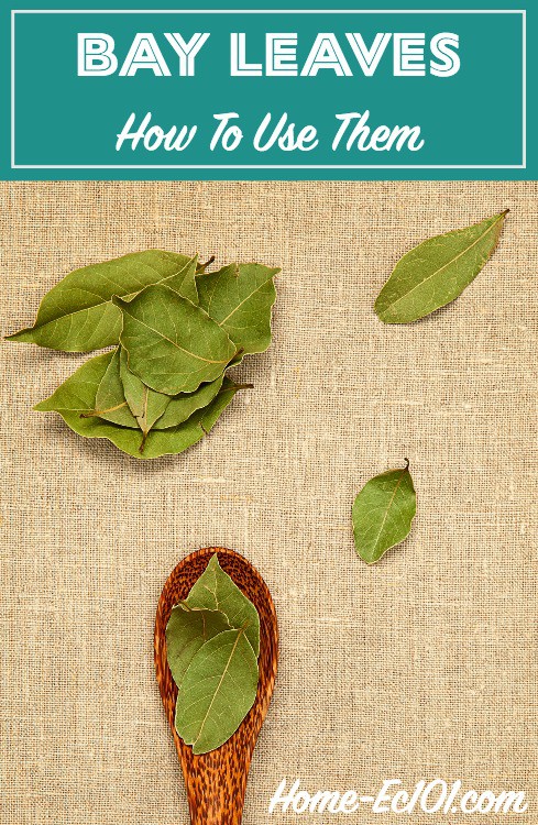 I’d dismissed them, not realizing that they were the very thing that made the aroma of mom’s vegetable soup so comforting. Here's how to use bay leaves in many recipes.