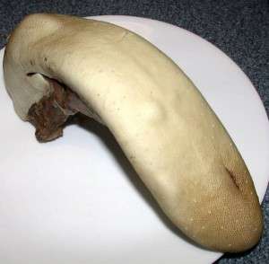 Boiled Beef Tongue - after cooking can a tongue stick its tongue out at you?