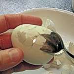 Carefully slip spoon under shell and pull it away