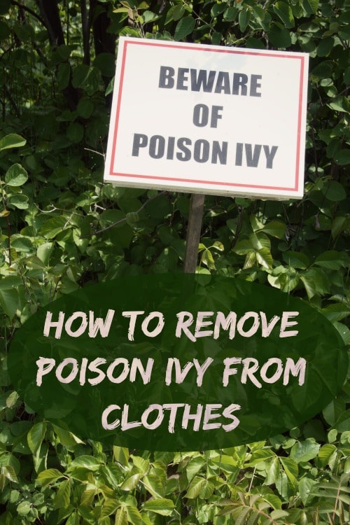 How to remove poison ivy from clothes