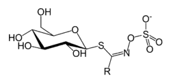 Glucosinolate