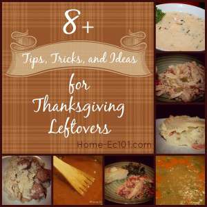 Tips Tricks and Ideas of Thanksgiving Leftovers