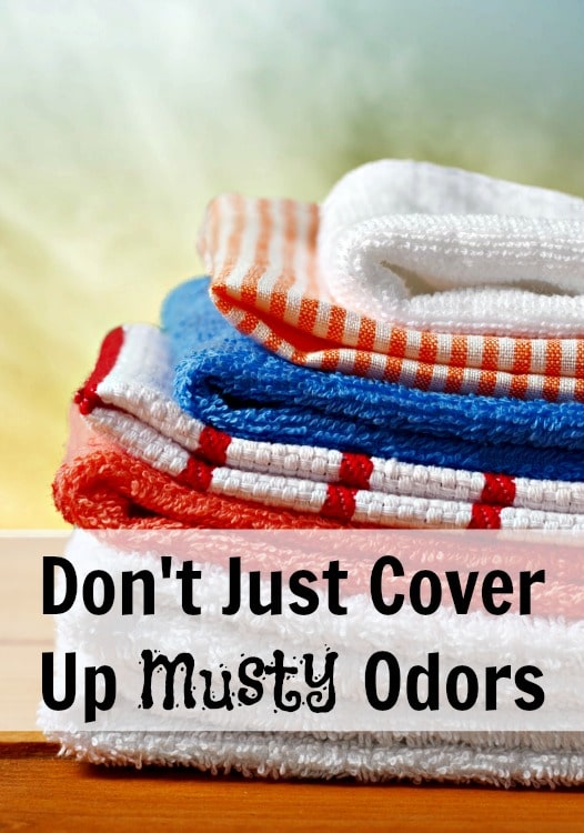 how to get rid of musty odors