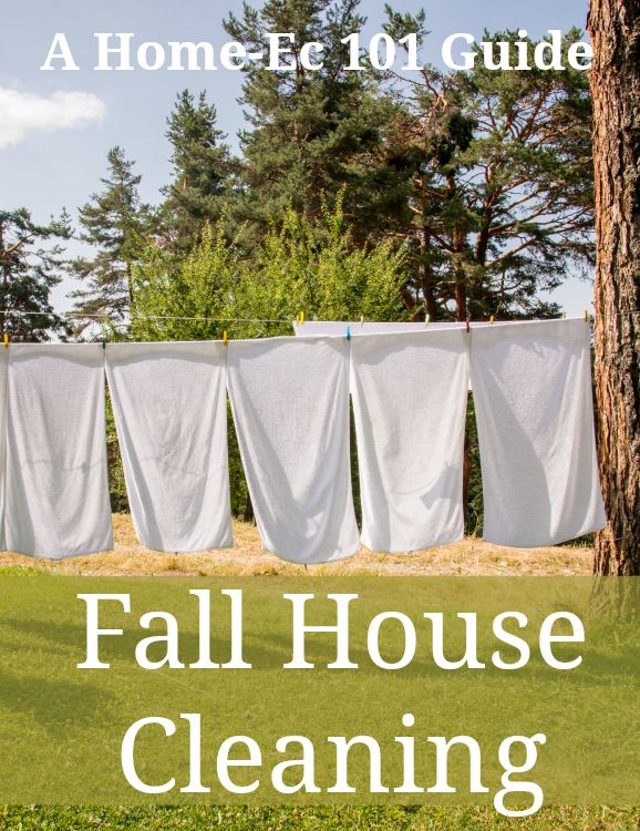 fall cleaning guide